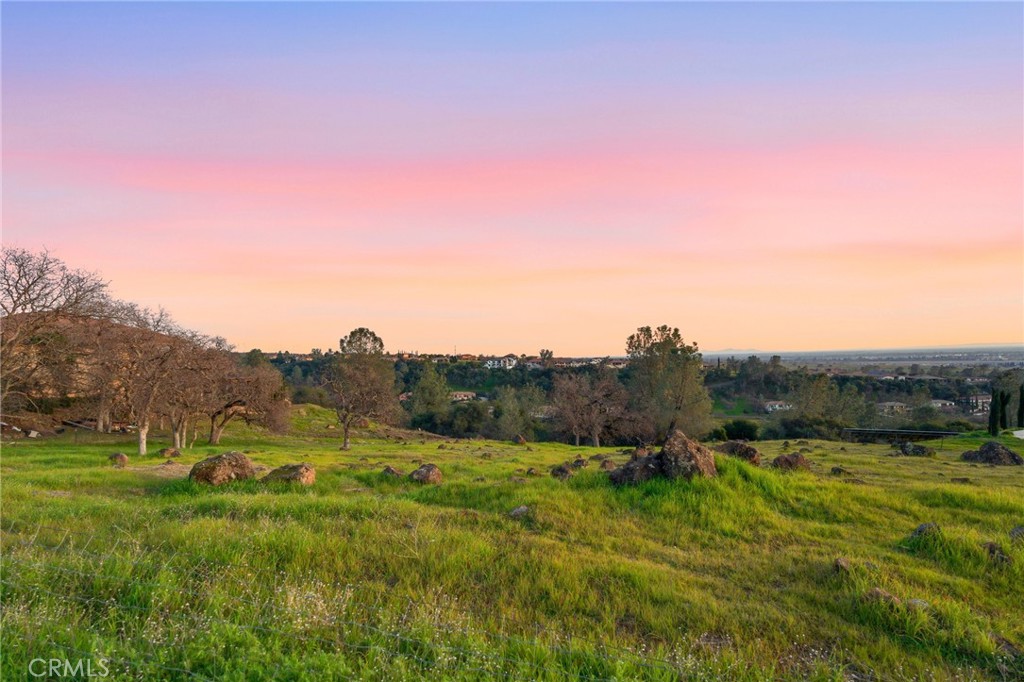 3309 Shadybrook Lane Chico, CA 95928 - Photo 8 of 13 a view of a grassy field with trees
