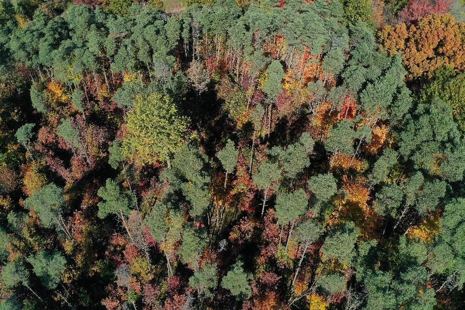 0 Johnson Road Lakeview, MI 48850 - Photo 8 of 10 image_8