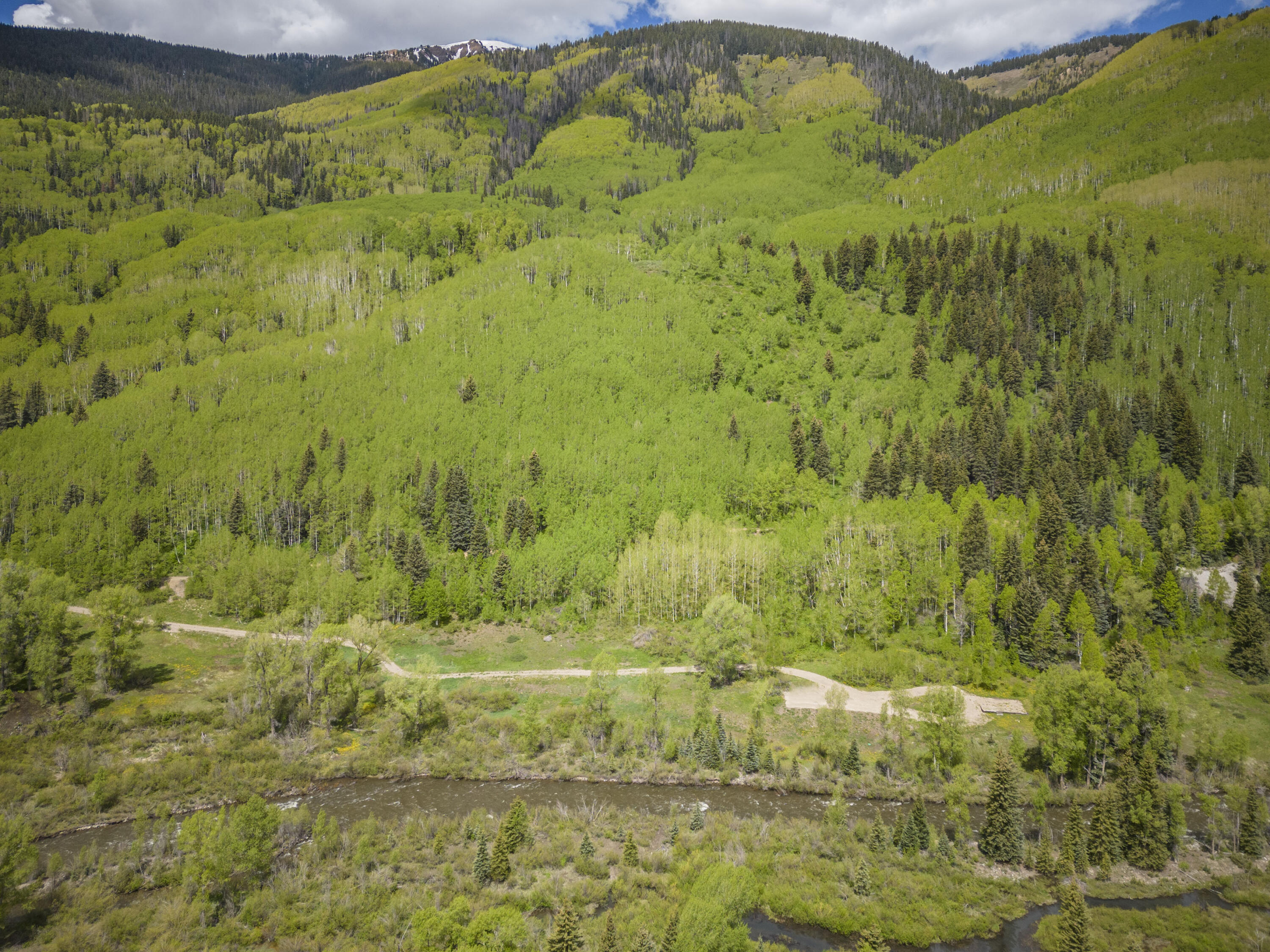 Tbd Tbd Dolores River Rico, CO 81332 - Photo 2 of 4 a view of a garden