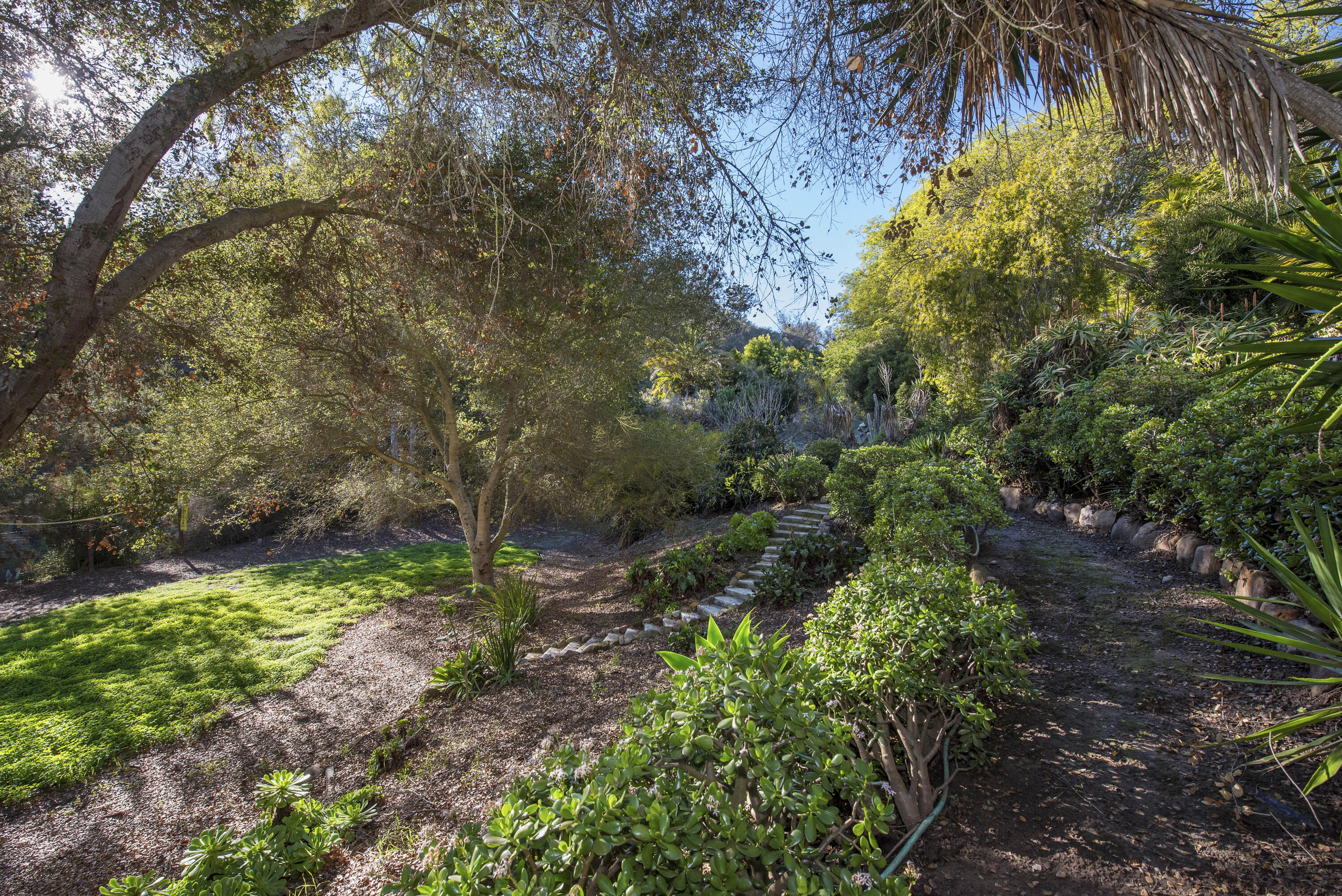 543.5 Arroyo Avenue Santa Barbara, CA 93109 - Photo 21 of 26 Yard 2