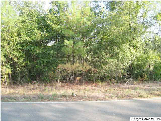 Howell Cove Road Talladega, AL 35160 - Photo 7 of 9