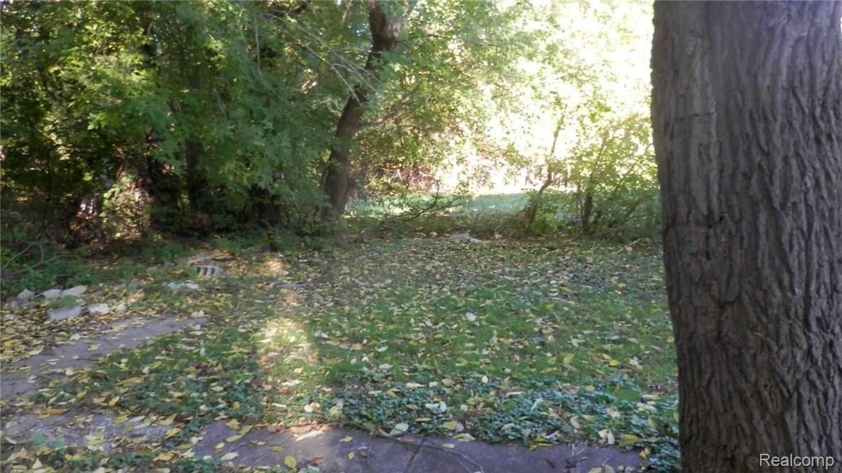 4625 Harding Street Detroit, MI 48214 - Photo 8 of 9 PA230017-1.JPG