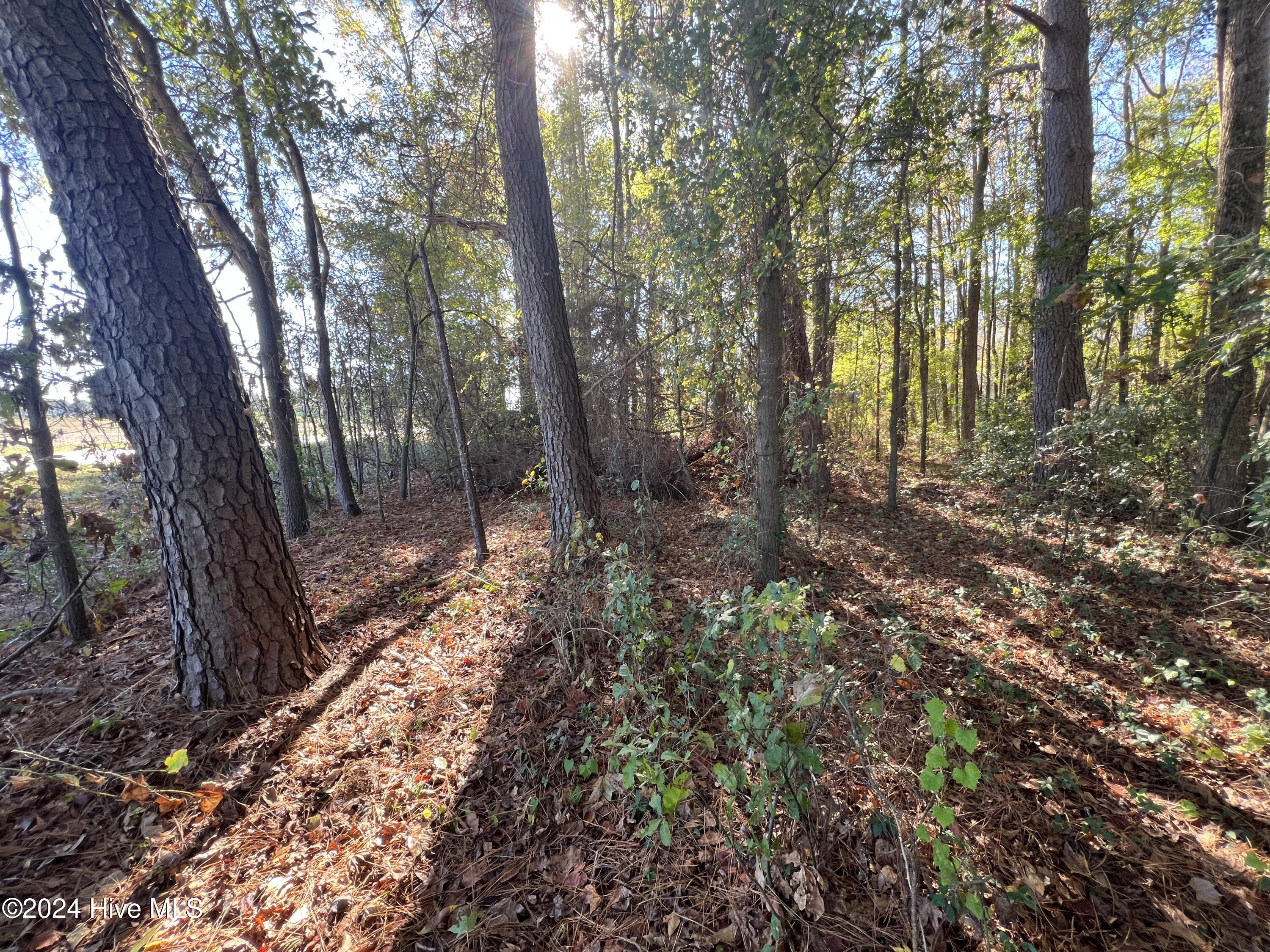 0 Springhill Church Road Lucama, NC 27851 - Photo 51 of 53 IMG_6783