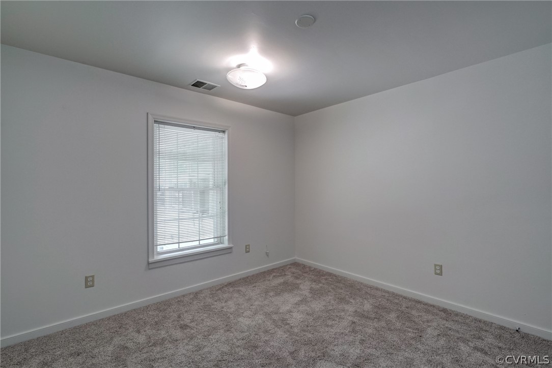 3844 River Road West Goochland, VA 23063 - Photo 19 of 45 Gallery Image 19
