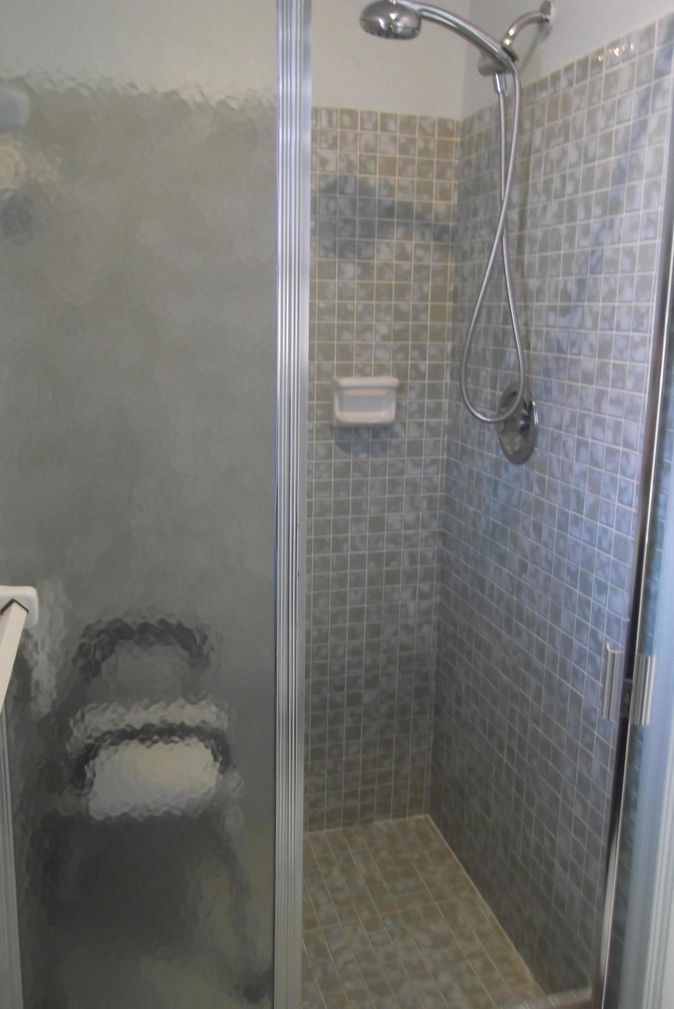 313 Northwest 42nd Street Boca Raton, FL 33431 - Photo 13 of 24 Master Shower
