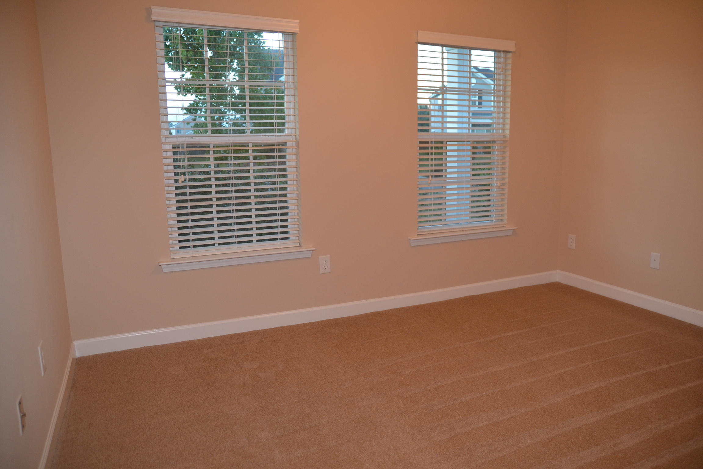 3011 Adventure Way Ladson, SC 29456 - Photo 22 of 27 2017-10-07 17.46.08