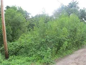 $28,800 | 15-18 Potomac Street, New Orleans, LA 70114