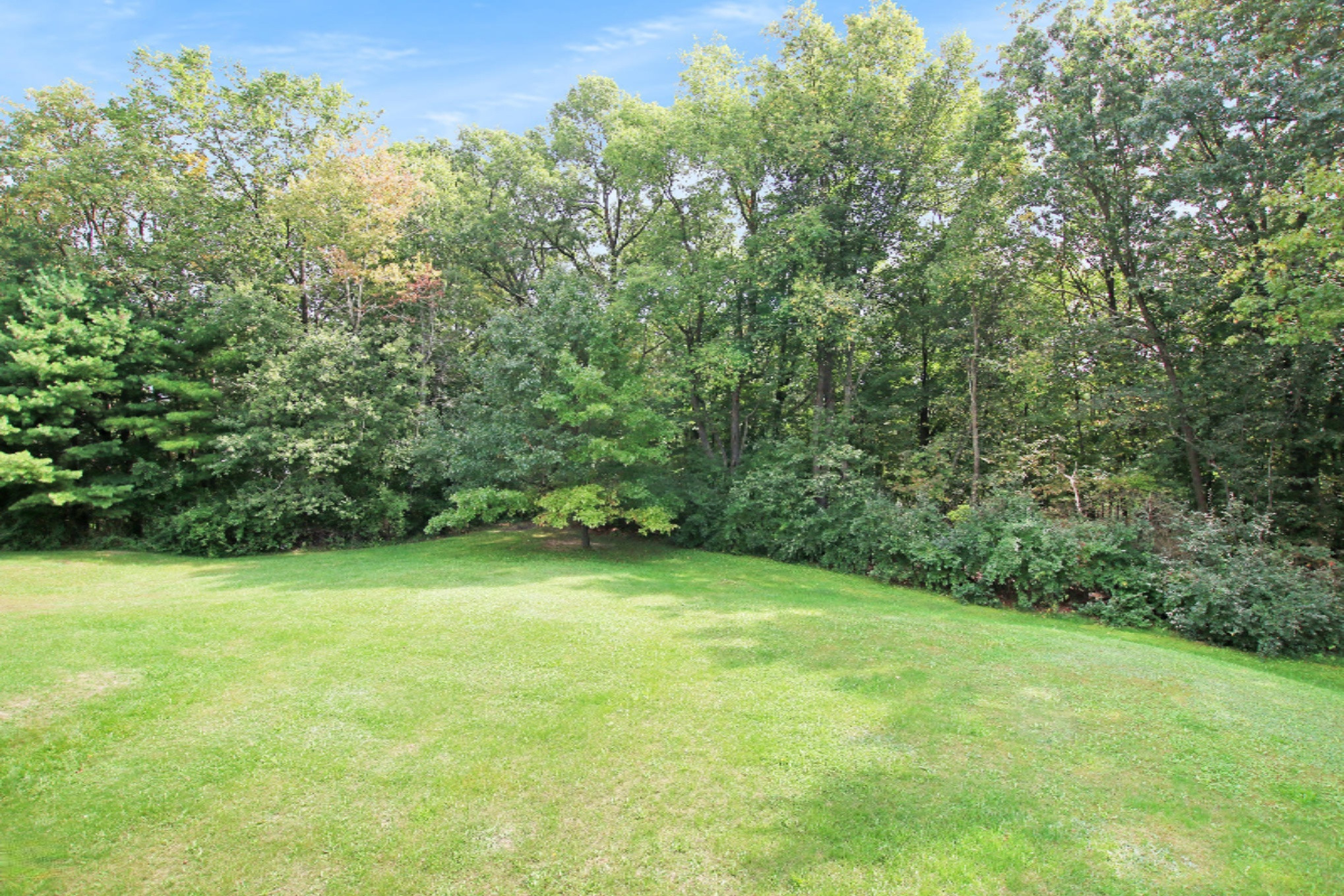 608 Whites Bridge Road Belding, MI 48809 - Photo 5 of 33 IMG_8839