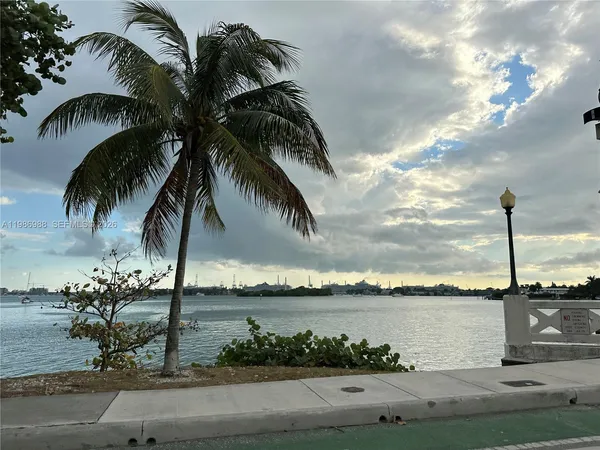 a view of three palm trees