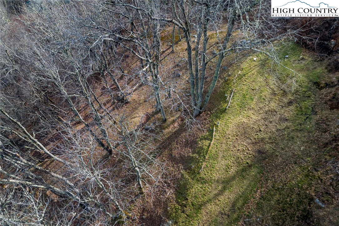 Lot 36-37 Long View Road Banner Elk, NC 28604 - Photo 15 of 17 a yard with tall trees
