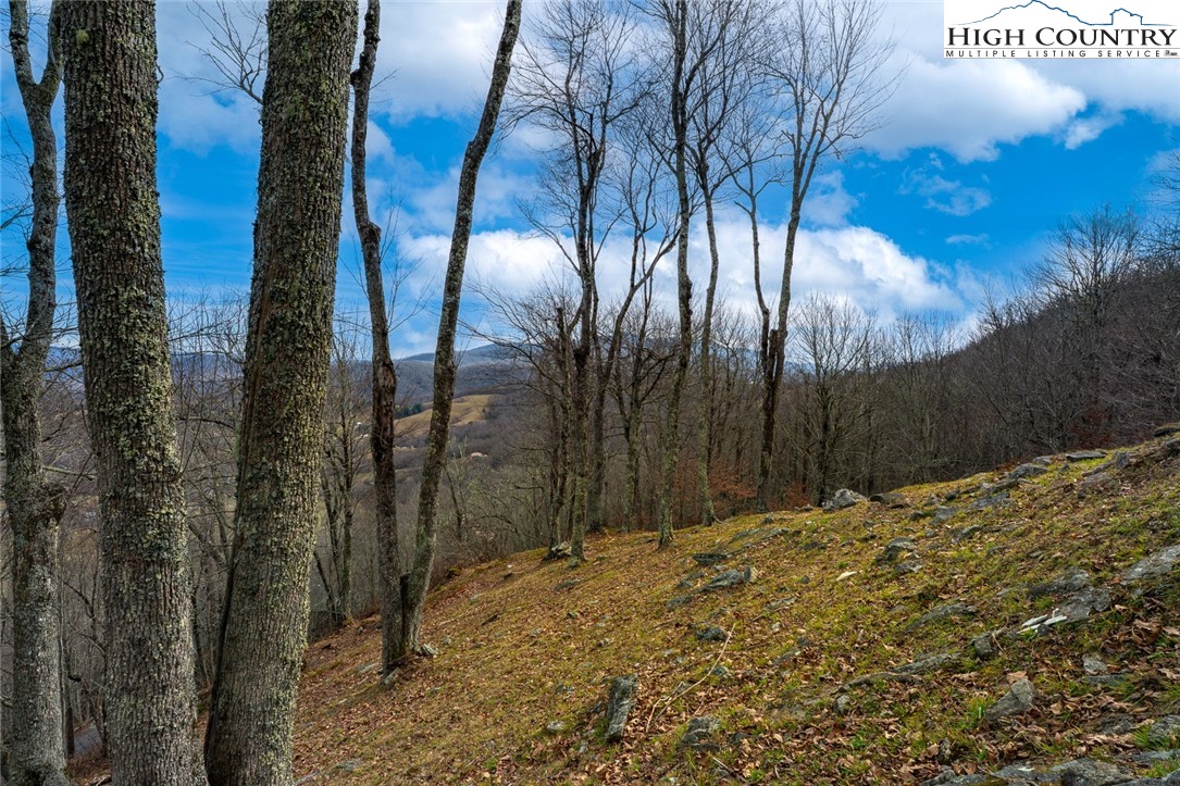 Lot 36-37 Long View Road Banner Elk, NC 28604 - Photo 4 of 17 a backyard of a house