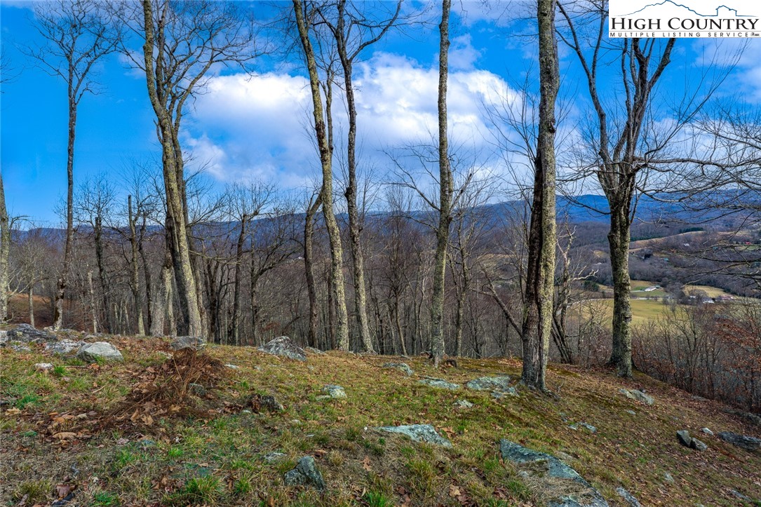 Lot 36-37 Long View Road Banner Elk, NC 28604 - Photo 6 of 17 a backyard of a house with lots of green space