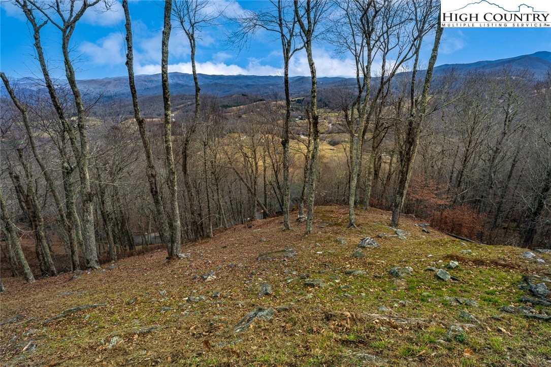 Lot 36-37 Long View Road Banner Elk, NC 28604 - Photo 7 of 17 a view of a backyard of the house