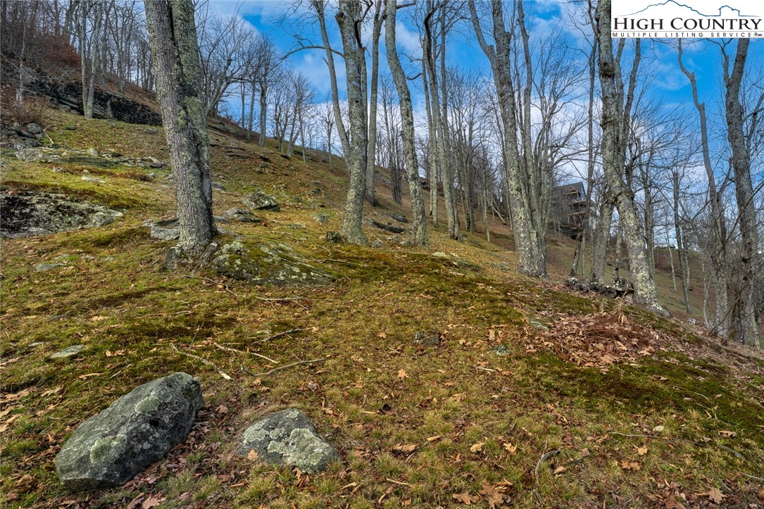 Lot 36-37 Long View Road Banner Elk, NC 28604 - Photo 8 of 17 a view of a yard with trees