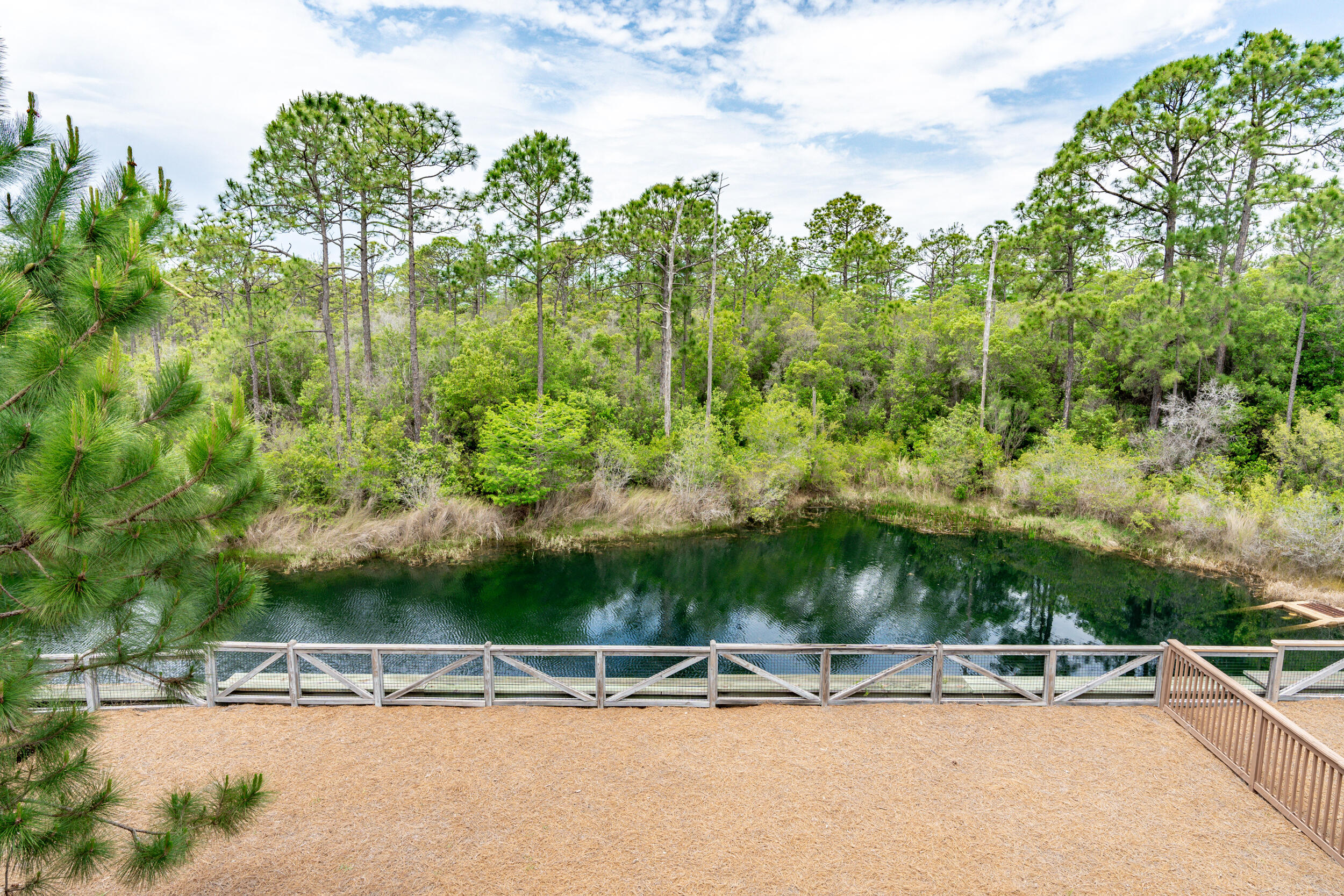 345 Flatwoods Forest Loop Santa Rosa Beach, FL 32459 - Photo 42 of 62 DSC05197-HDR