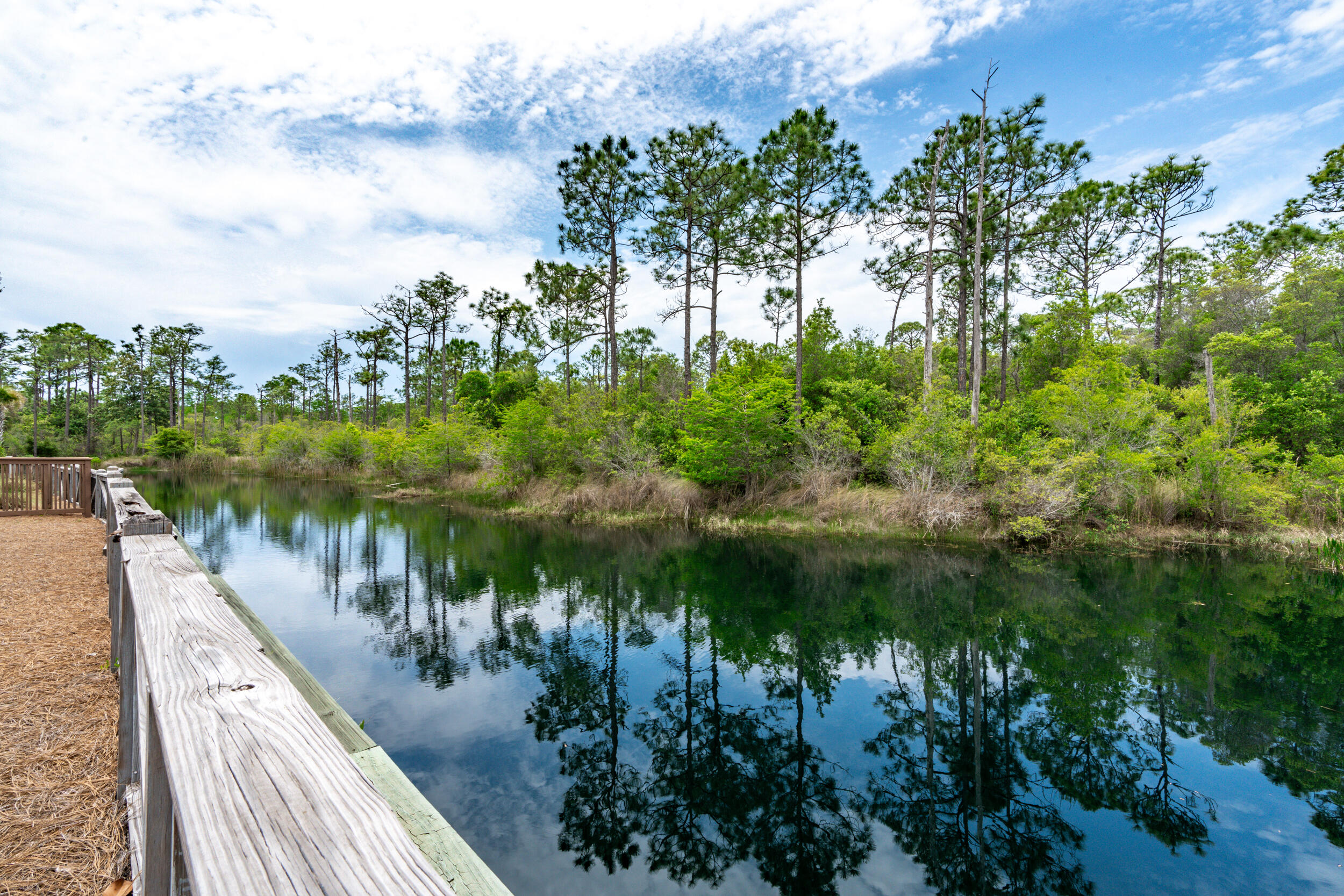 345 Flatwoods Forest Loop Santa Rosa Beach, FL 32459 - Photo 43 of 62 a view of a lake from a balcony