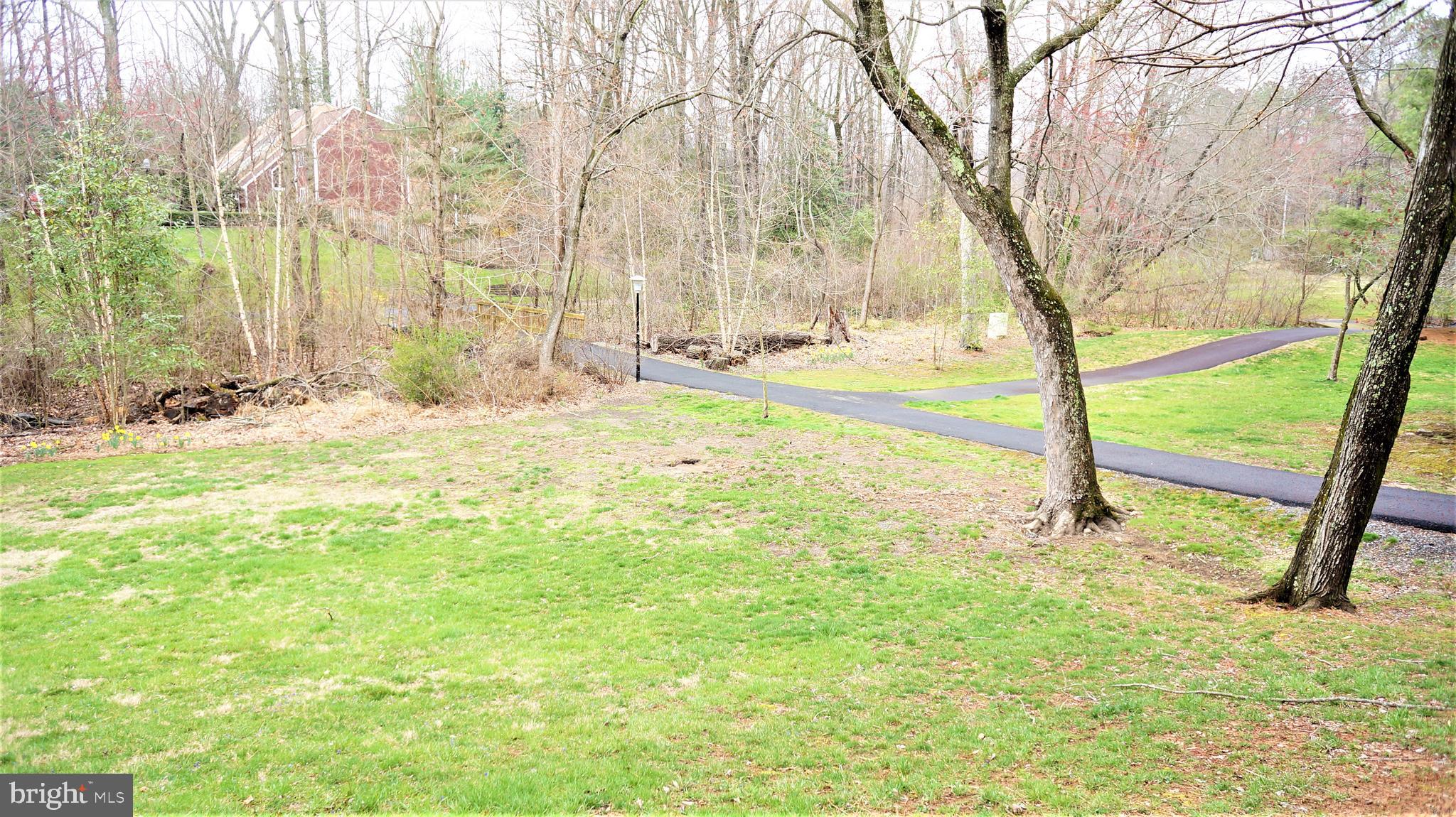 11163 Saffold Way Reston, VA 20190 - Photo 5 of 76 Scenic Parkland Views all year!
