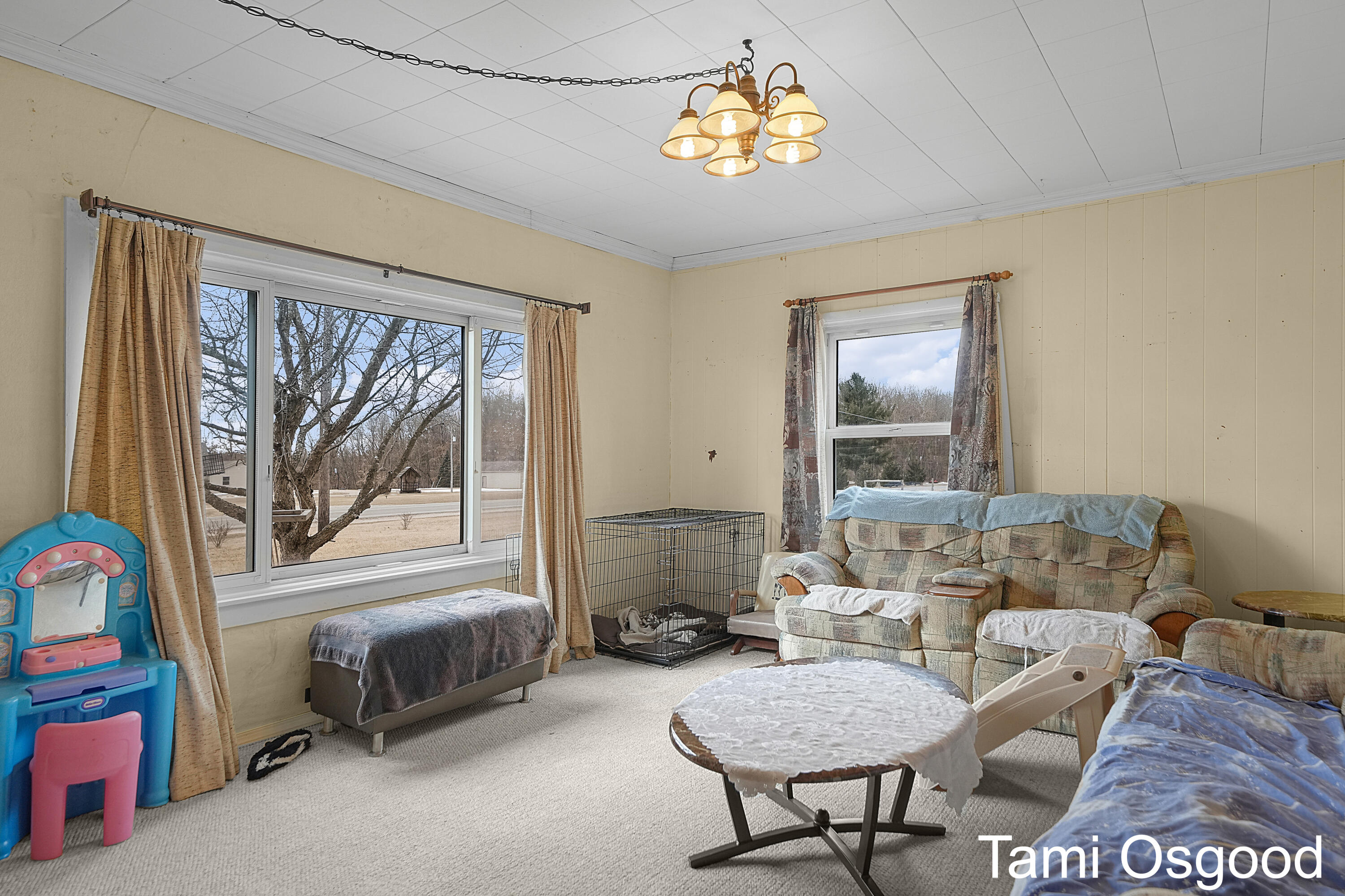 6220 West Stanton Road Stanton, MI 48888 - Photo 6 of 52 DSC07005