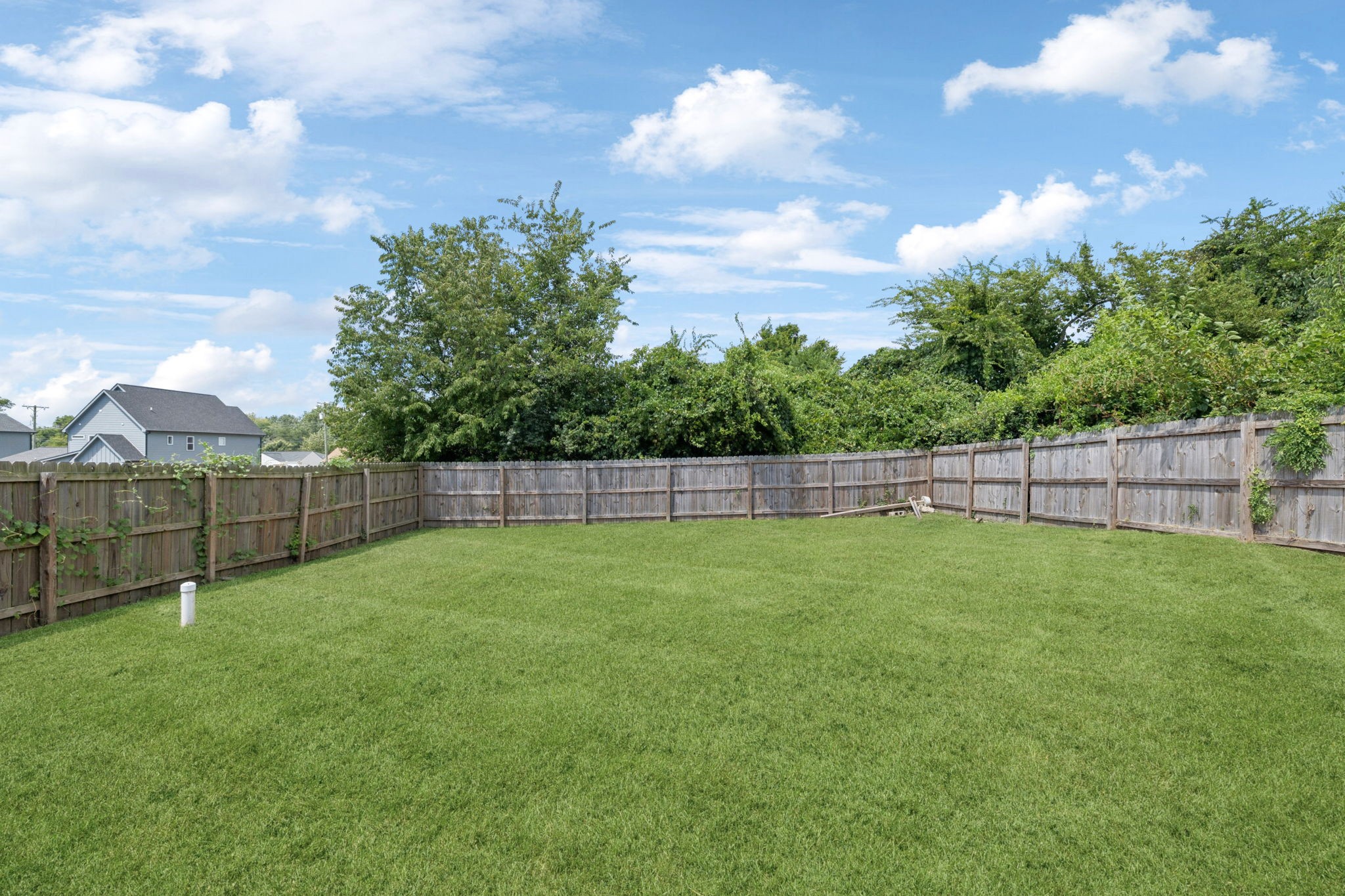 1613 23rd Avenue North Nashville, TN 37208 - Photo 48 of 58 a garden view