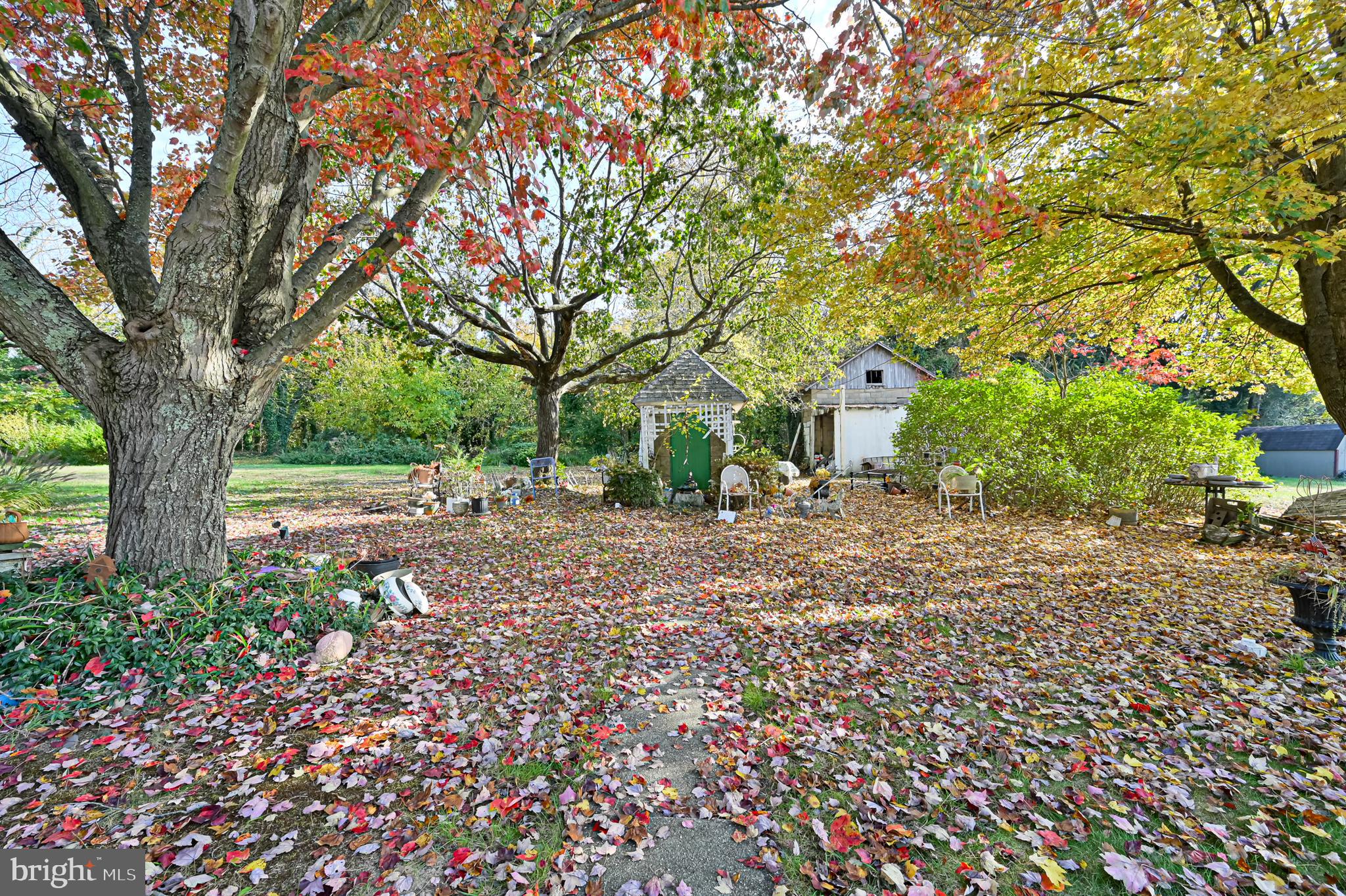 11 Rockville Road Bridgeton, NJ 08302 - Photo 12 of 29 Back Yard