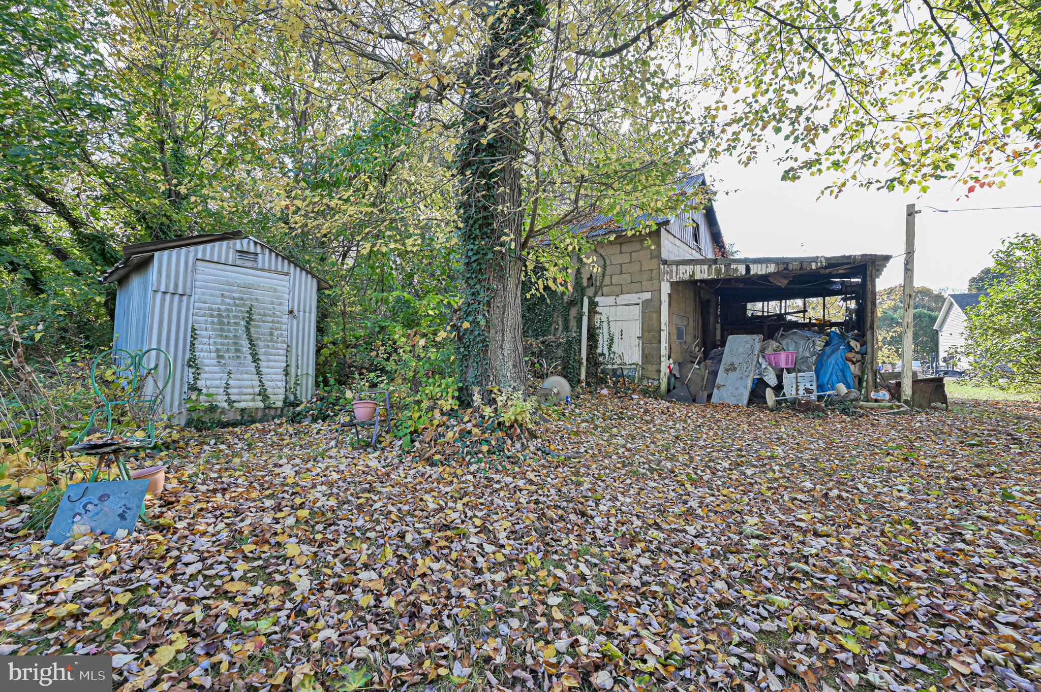 11 Rockville Road Bridgeton, NJ 08302 - Photo 14 of 29 Back Yard & Sheds