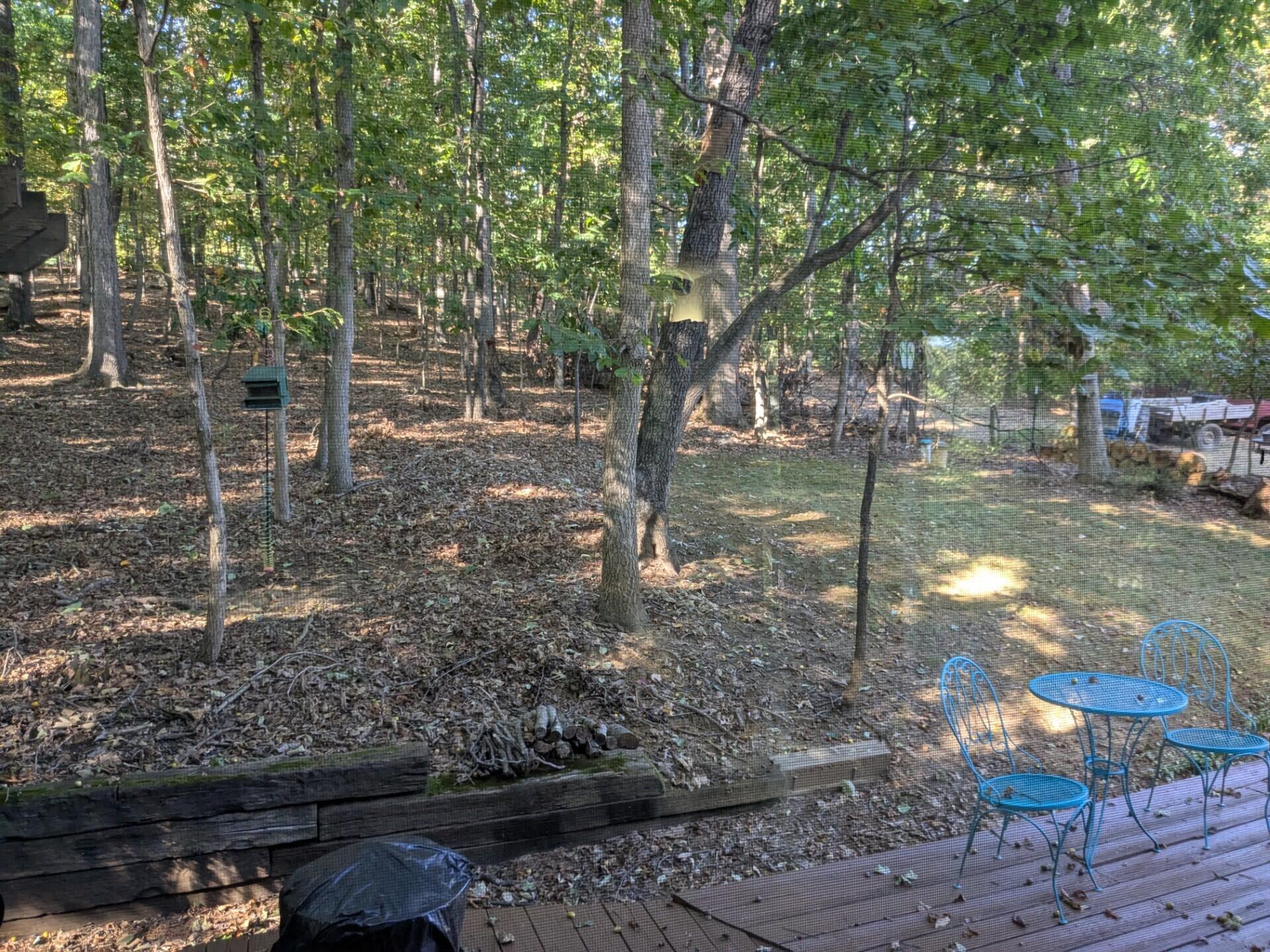 1046 Mountain Pass Road Blue Ridge, VA 24064 - Photo 21 of 25 a view of a yard with plants