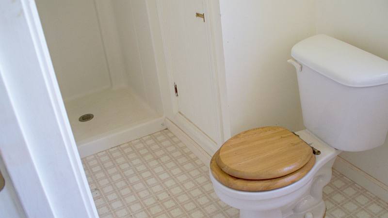 120 Coleman Cliff Road Frankford, WV 24938 - Photo 9 of 11 Bath with shower