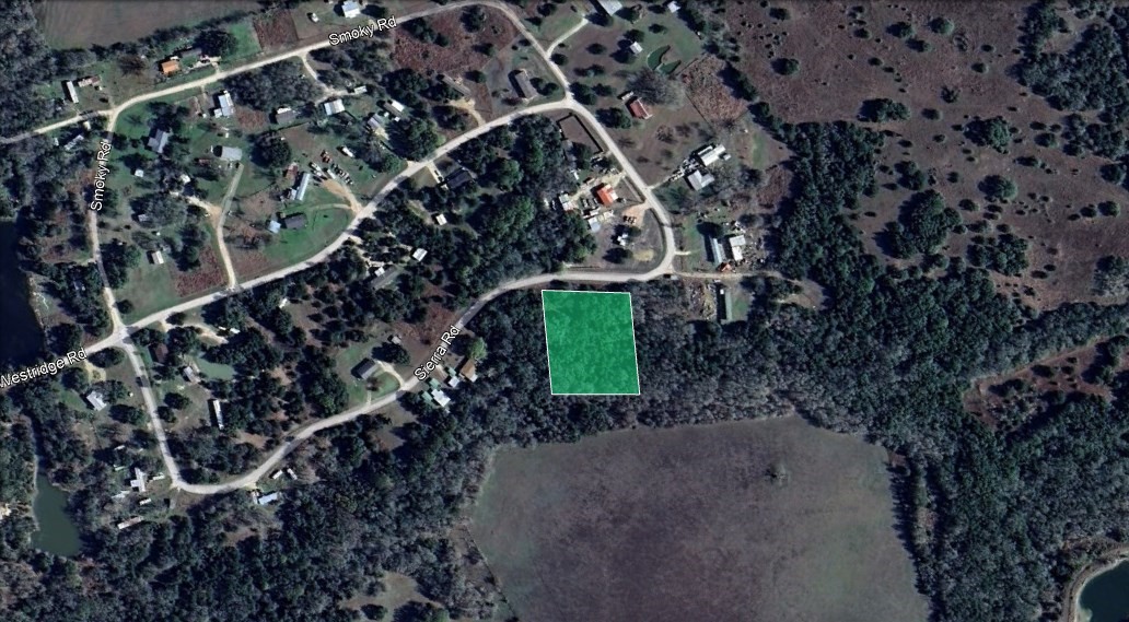 0 Sierra Road Brenham, TX 77833 - Photo 3 of 11 a picture of tree