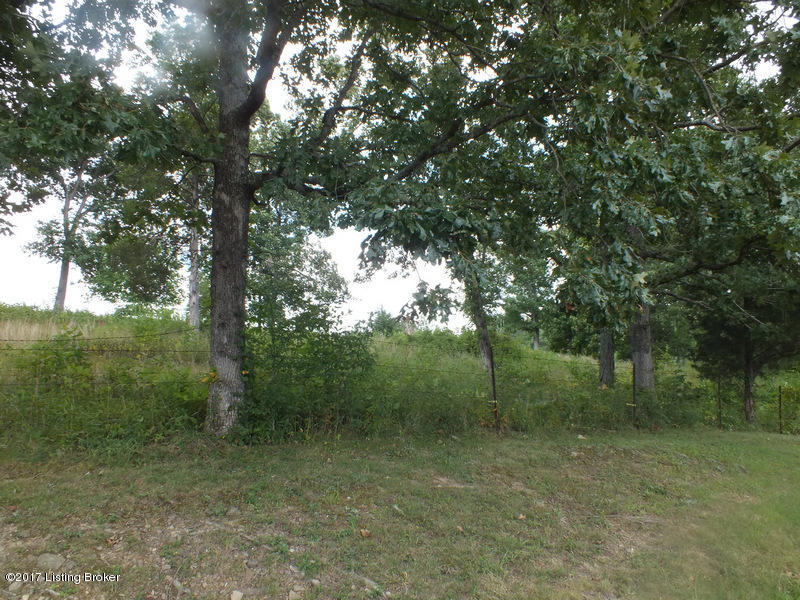 Lot 3 King Road Leitchfield, KY 42754 - Photo 2 of 4 Image18king rd