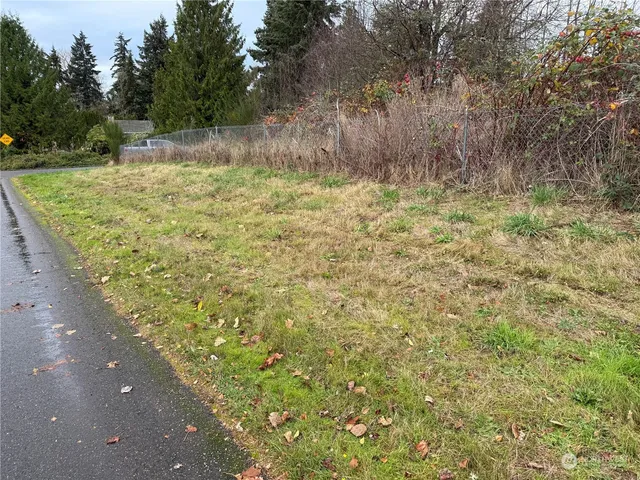 a view of a yard with large trees