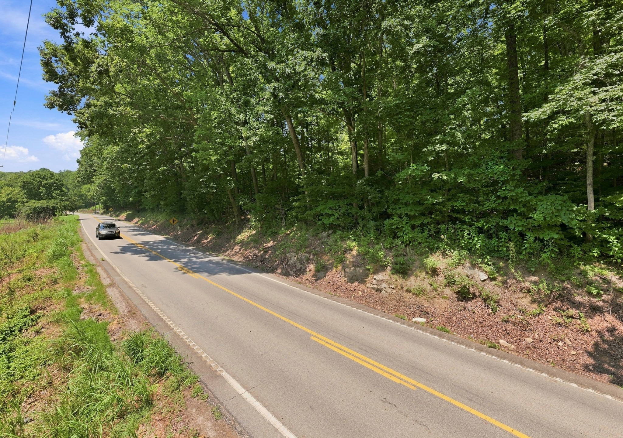 0 Slayden Wood Road Vanleer, TN 37181 - Photo 12 of 25 Gallery Image 12