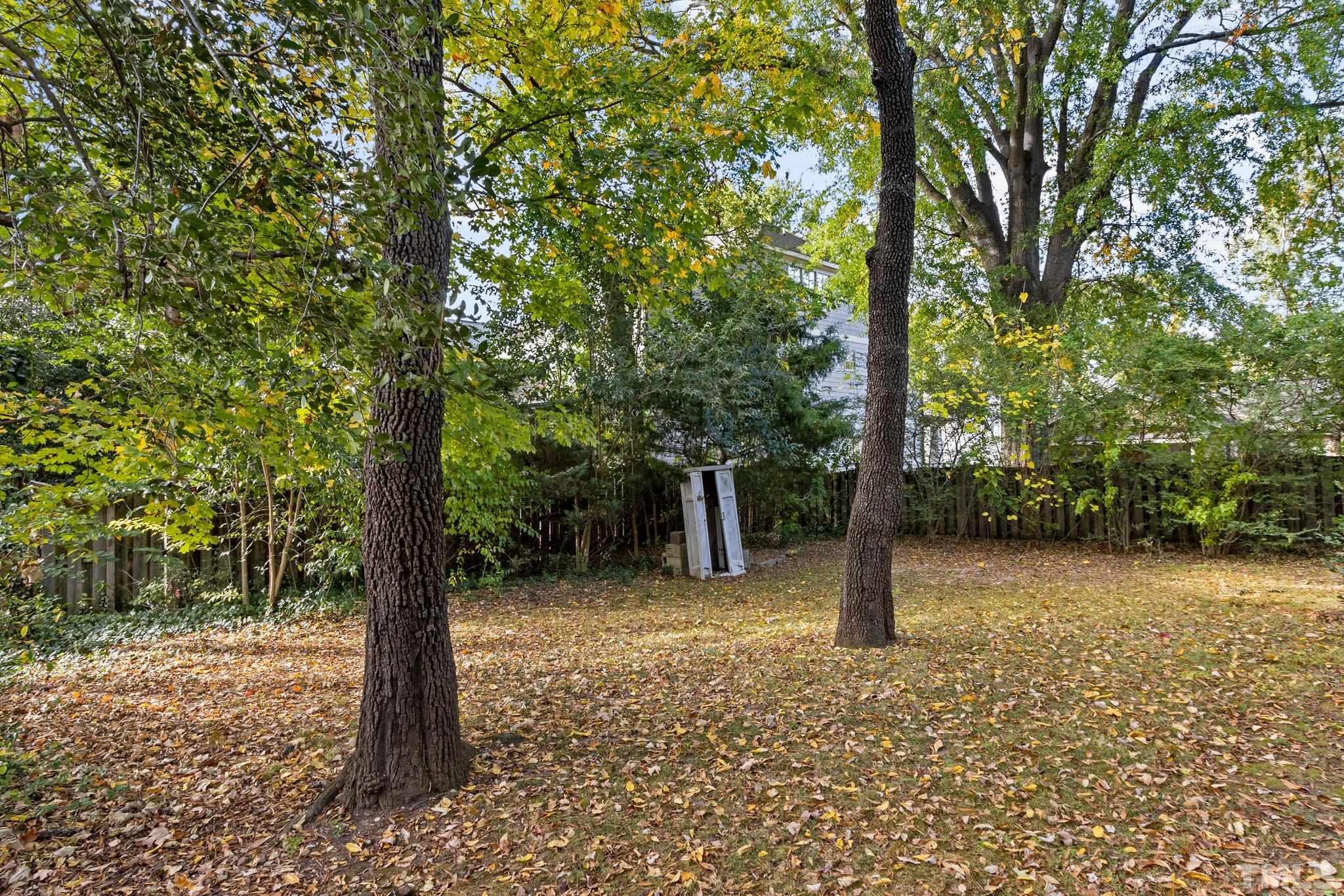 1713 Oberlin Road Raleigh, NC 27608 - Photo 28 of 34 a view of a trees with a tree
