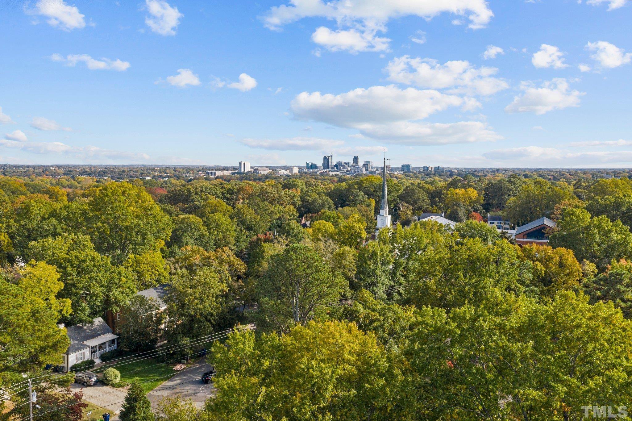 1713 Oberlin Road Raleigh, NC 27608 - Photo 33 of 34 a view of a city