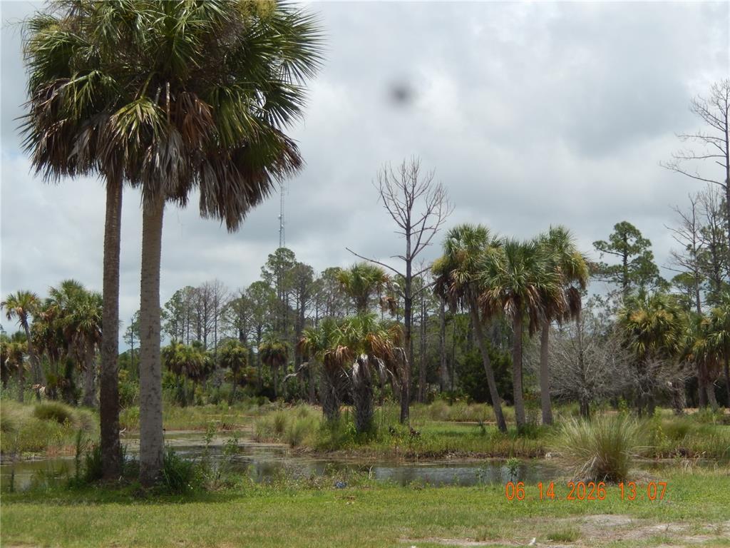8 Southwest 104th Court Cedar Key, FL 32625 - Photo 11 of 11