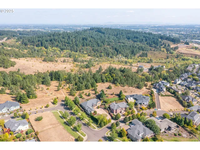 a view of city and mountain