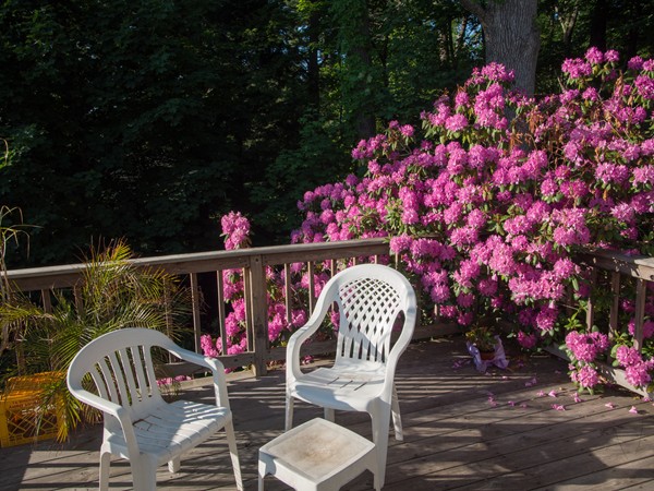 60 Crescent Road Leominster, MA 01453 - Photo 19 of 19 Gallery Image 19