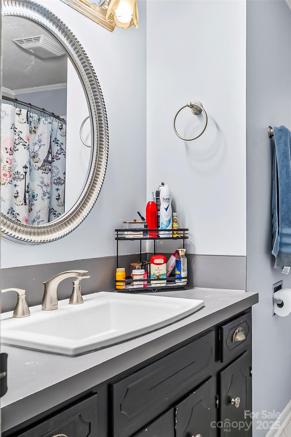 304 Parlier Avenue Conover, NC 28613 - Photo 12 of 37 a bathroom with a sink and a mirror