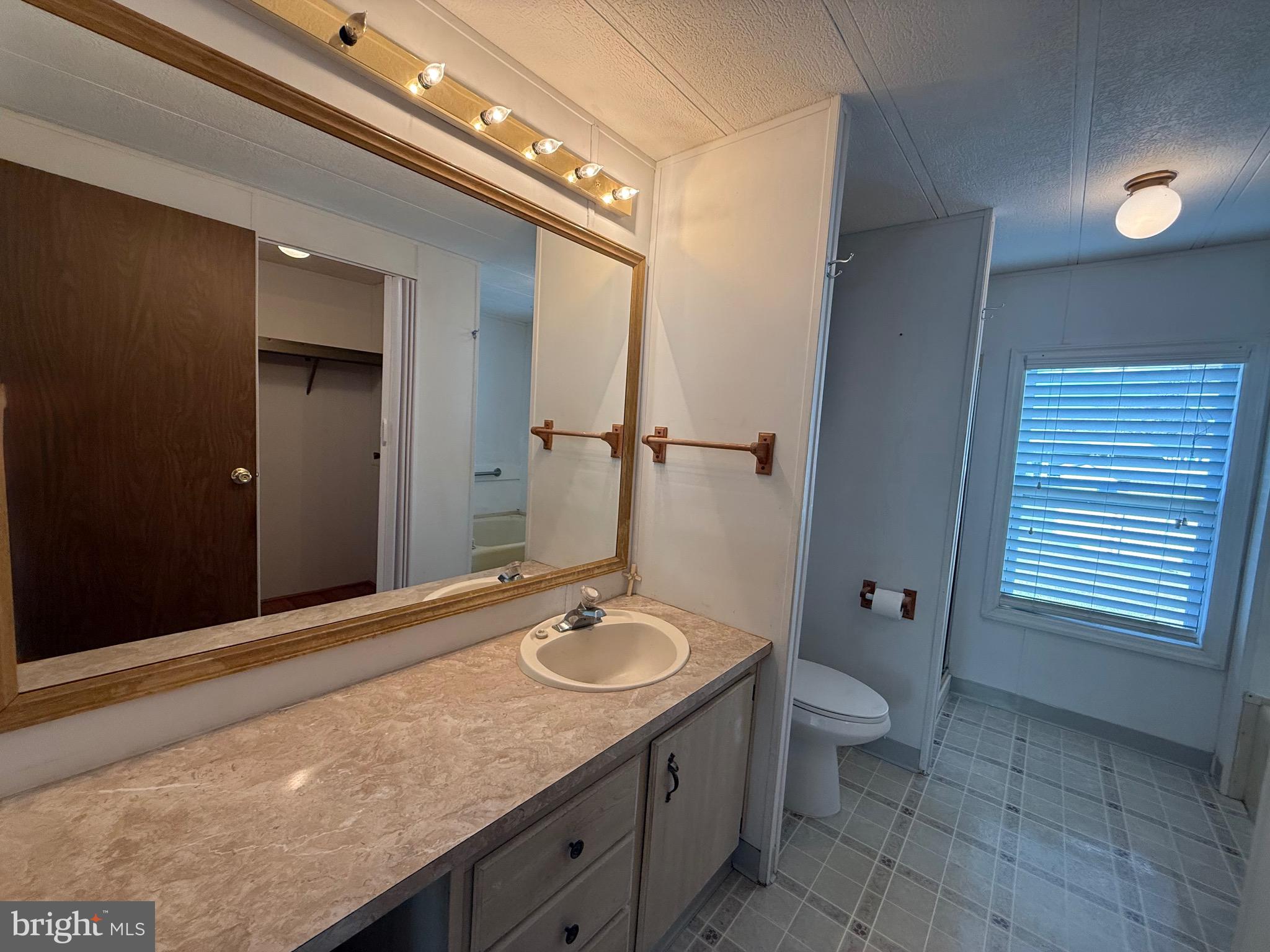 386 Indian Way Buena, NJ 08310 - Photo 18 of 53 a bathroom with a granite countertop sink a toilet and a mirror