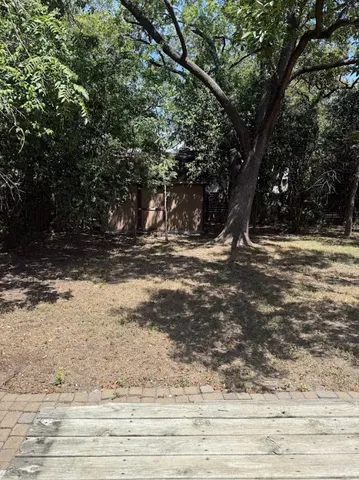 a view of a tree next to a yard