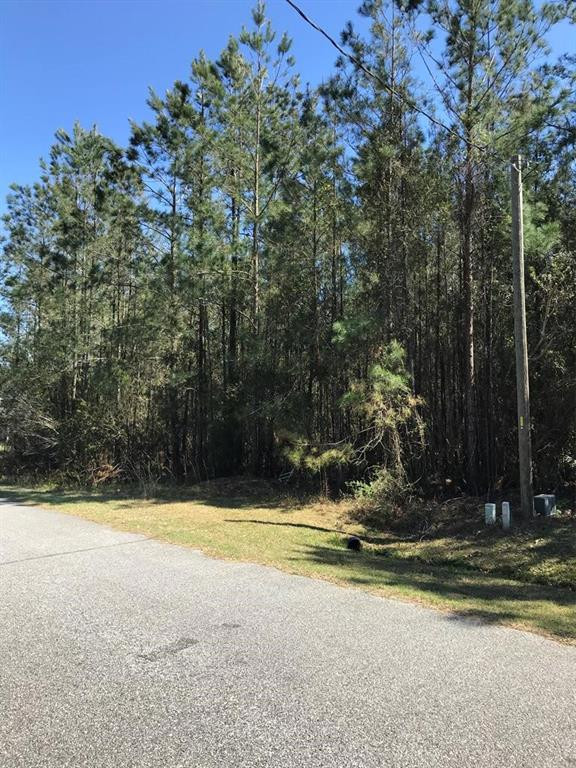 0 Winchester Road Waverly, GA 31565 - Photo 1 of 1 Gallery Image 1