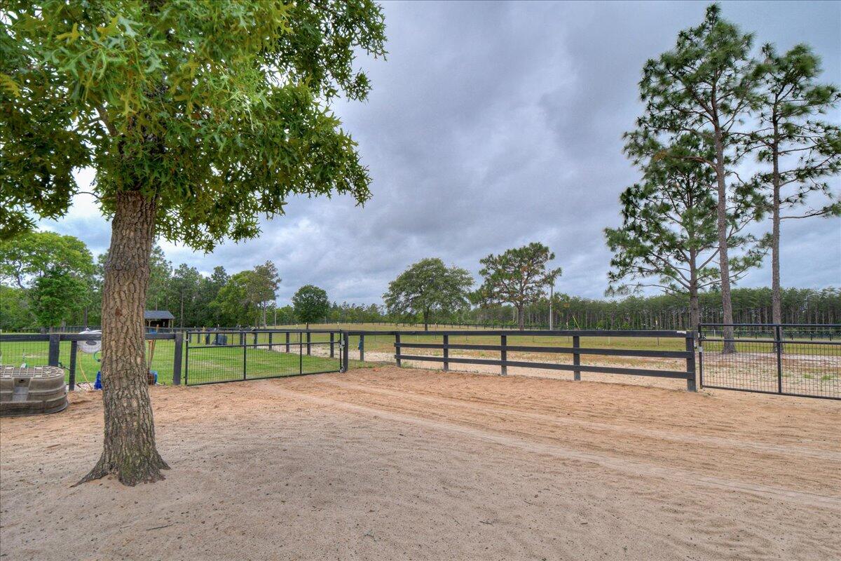 254 Cadle Crossing Road Windsor, SC 29856 - Photo 77 of 104