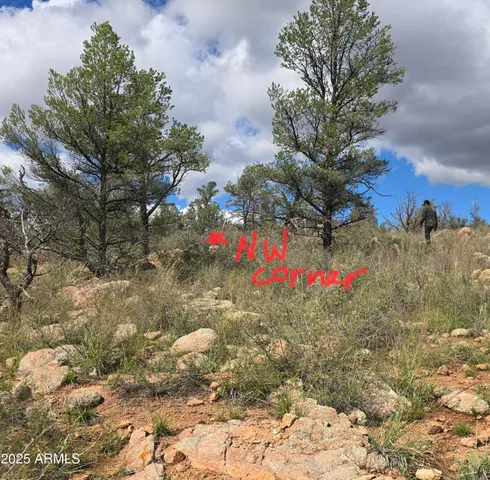 a view of a house with a yard and large trees