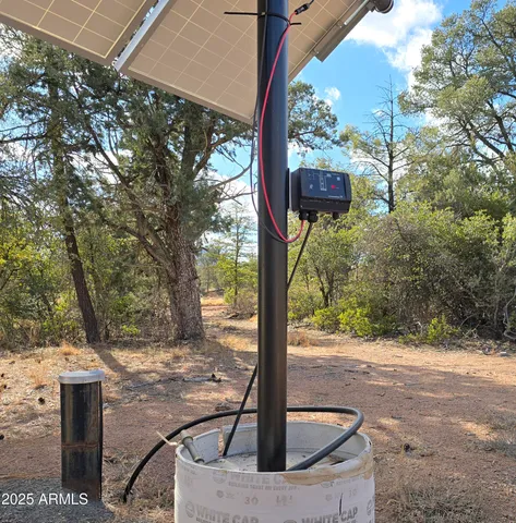a view of a street with a tree