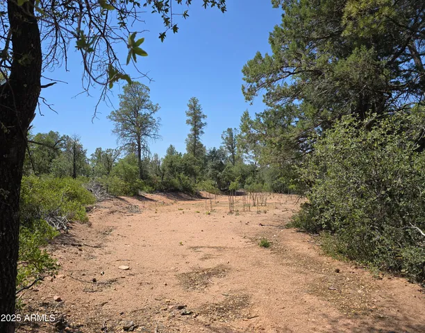 a view of dirt field with large trees
