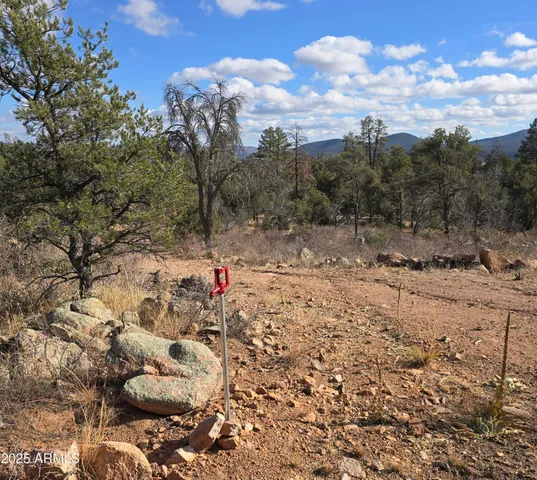 a view of a dry yard with lots of green space