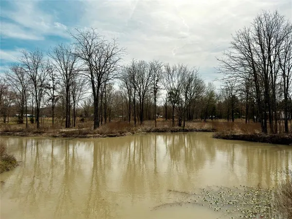 a view of a lake with a trees