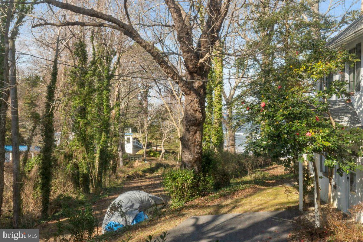 1540 Overlook Drive St. Leonard, MD 20685 - Photo 27 of 43 Beach path shown down to left.