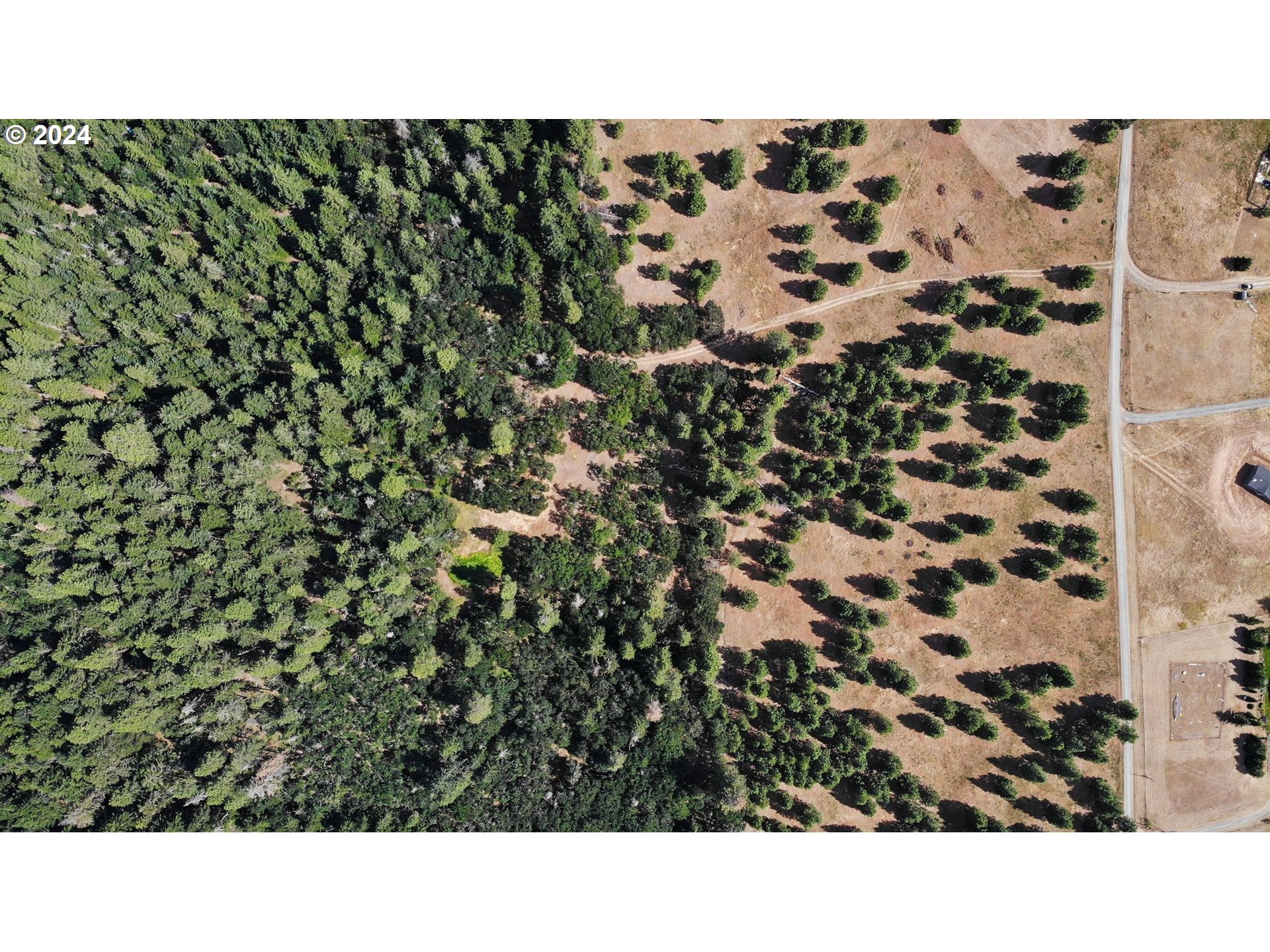 Mt View Road Lyle, WA 98635 - Photo 4 of 18 Gallery Image 4