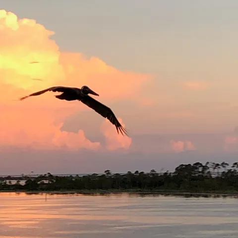 $2,200 | 4600 Kingfish Lane, Unit 306, Panama City, FL 32408