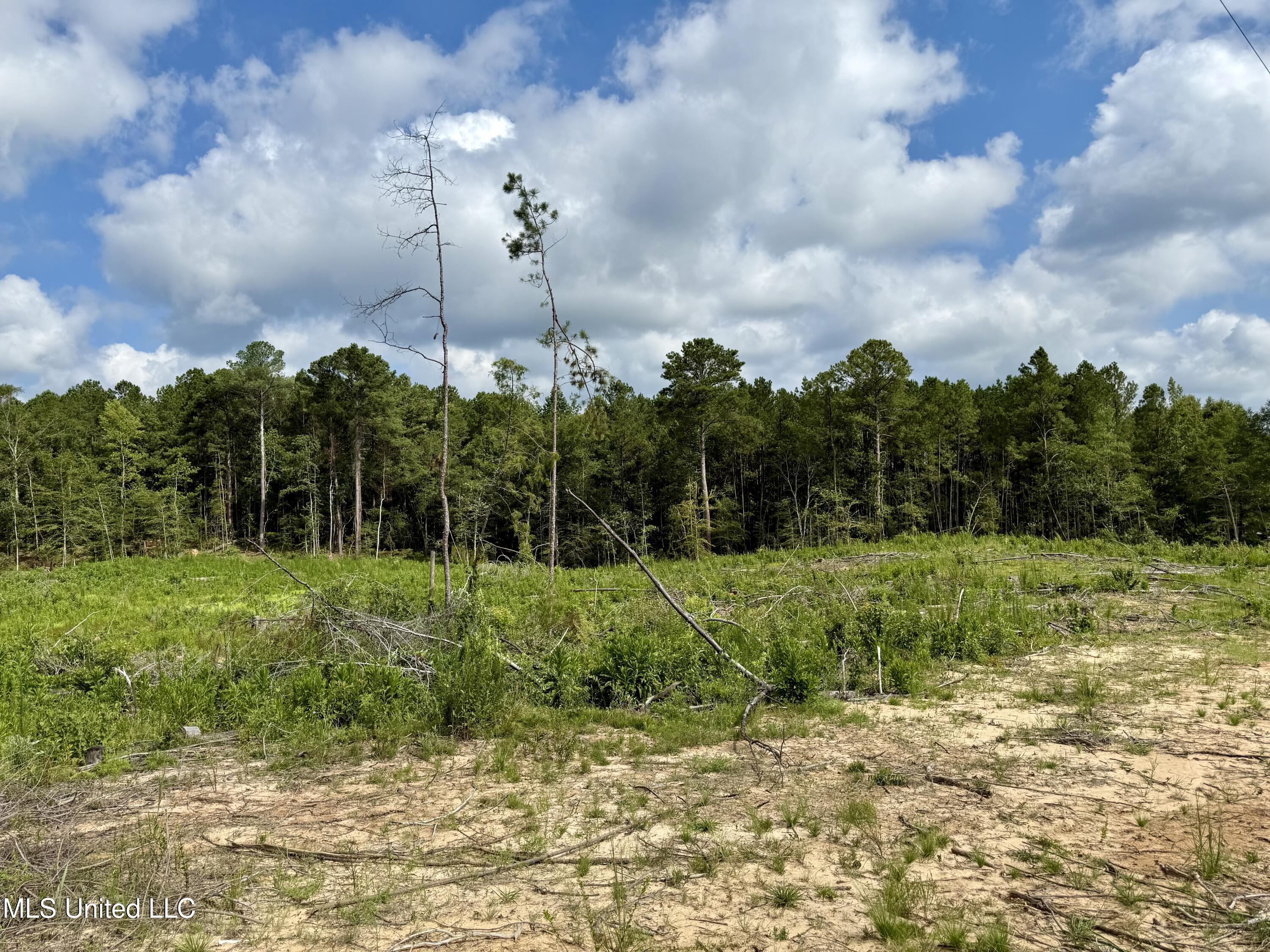 5235 Attala Road McCool, MS 39108 - Photo 11 of 13 IMG_1193